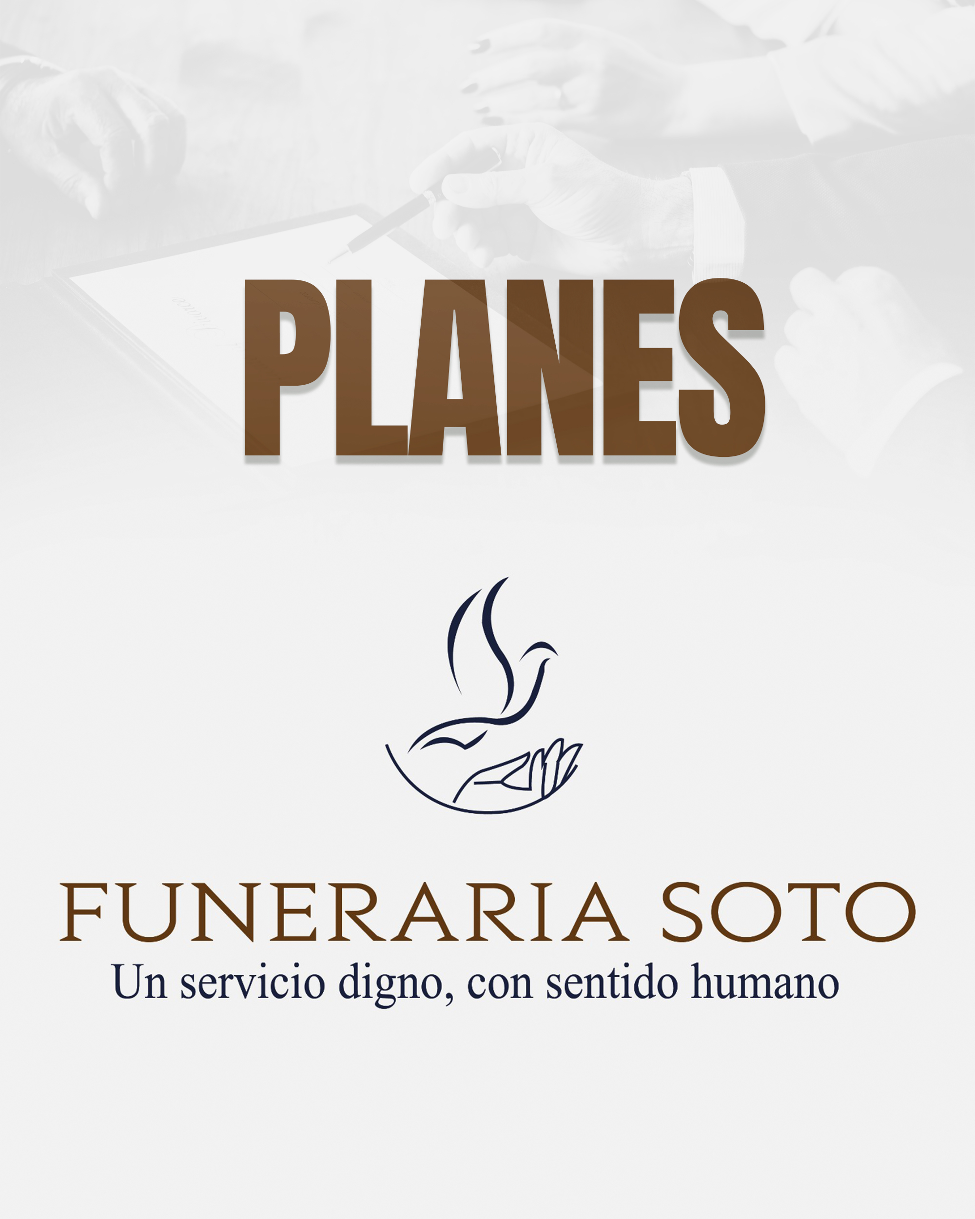 Planes de previsión